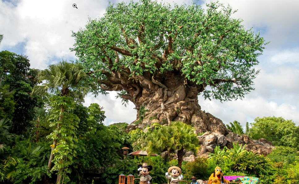 Disney's Animal Kingdom Theme Park, United States